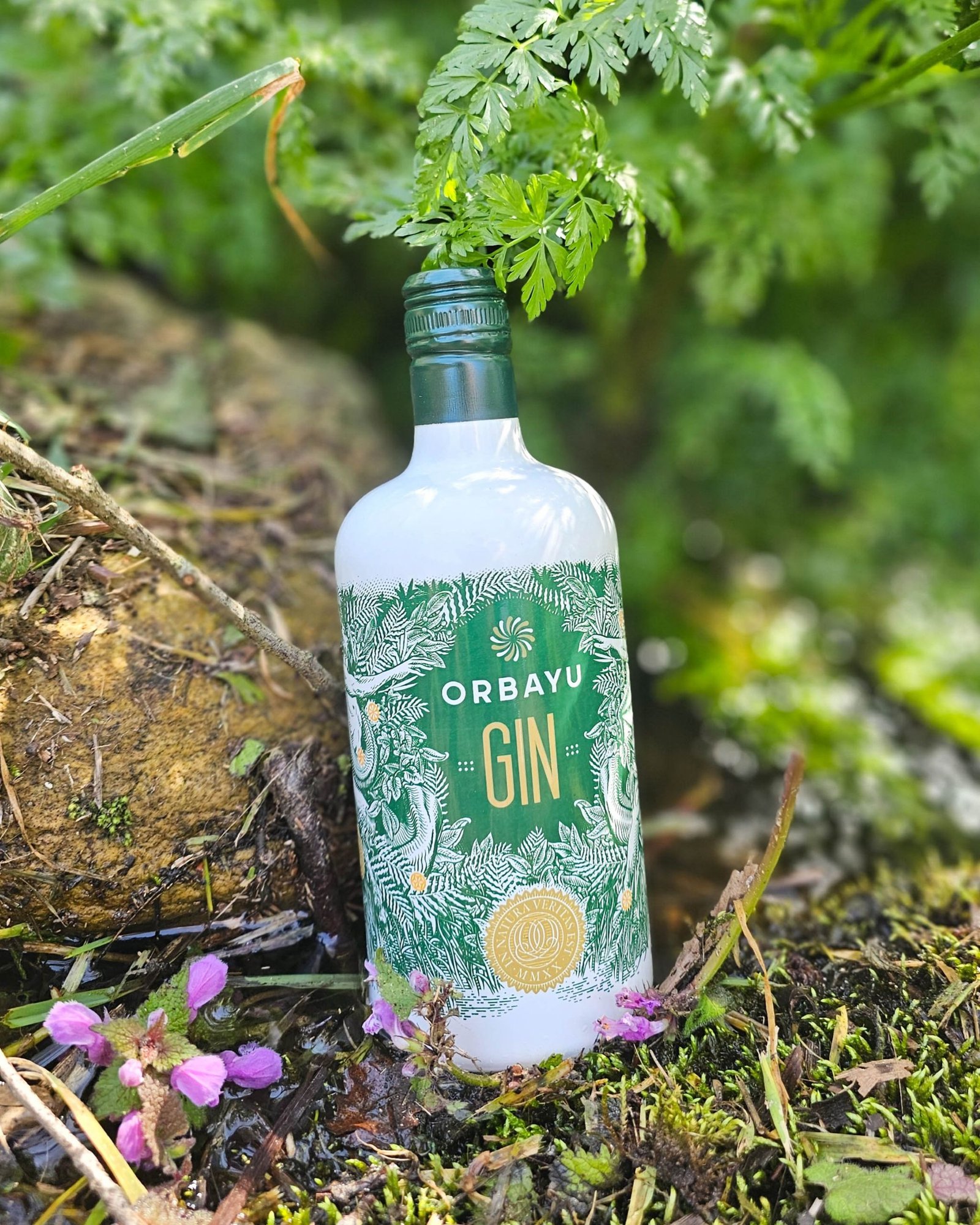 Orbayu Gin